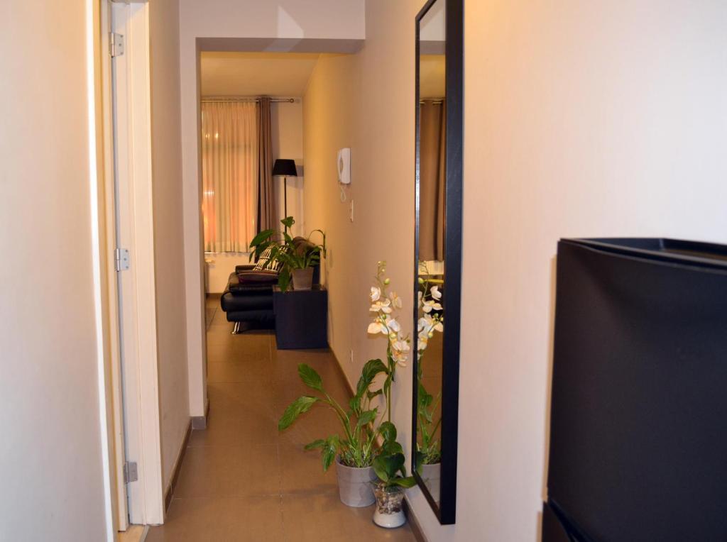 布鲁塞尔公寓酒店 客房 照片